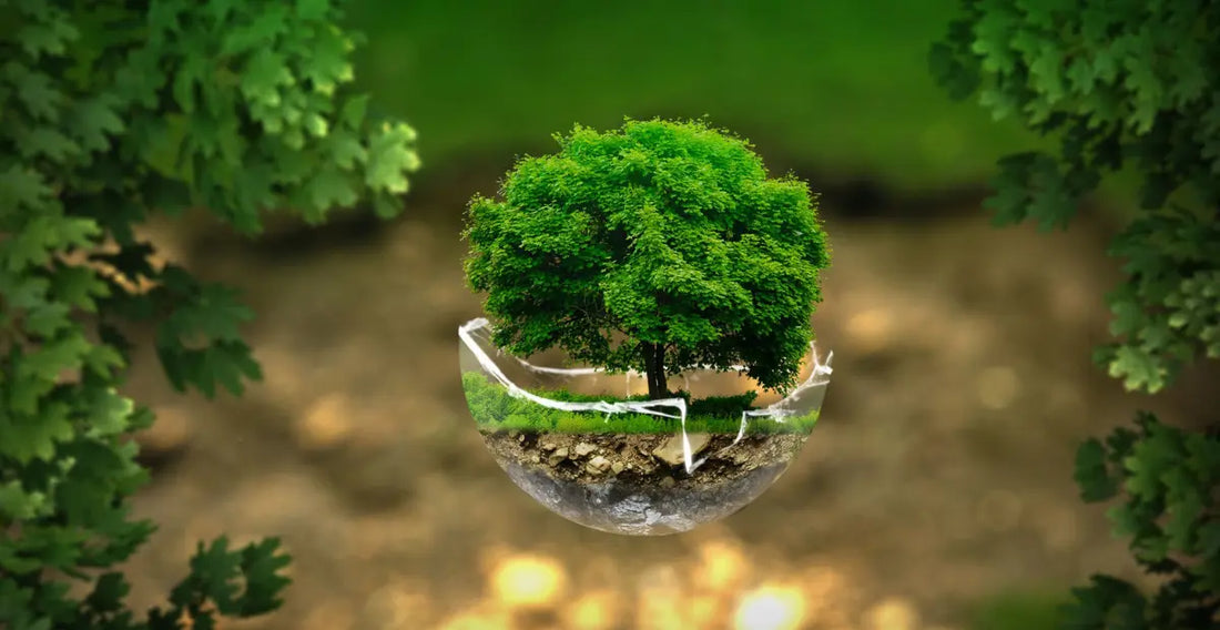 Rutina ecologică de îngrijire zilnică